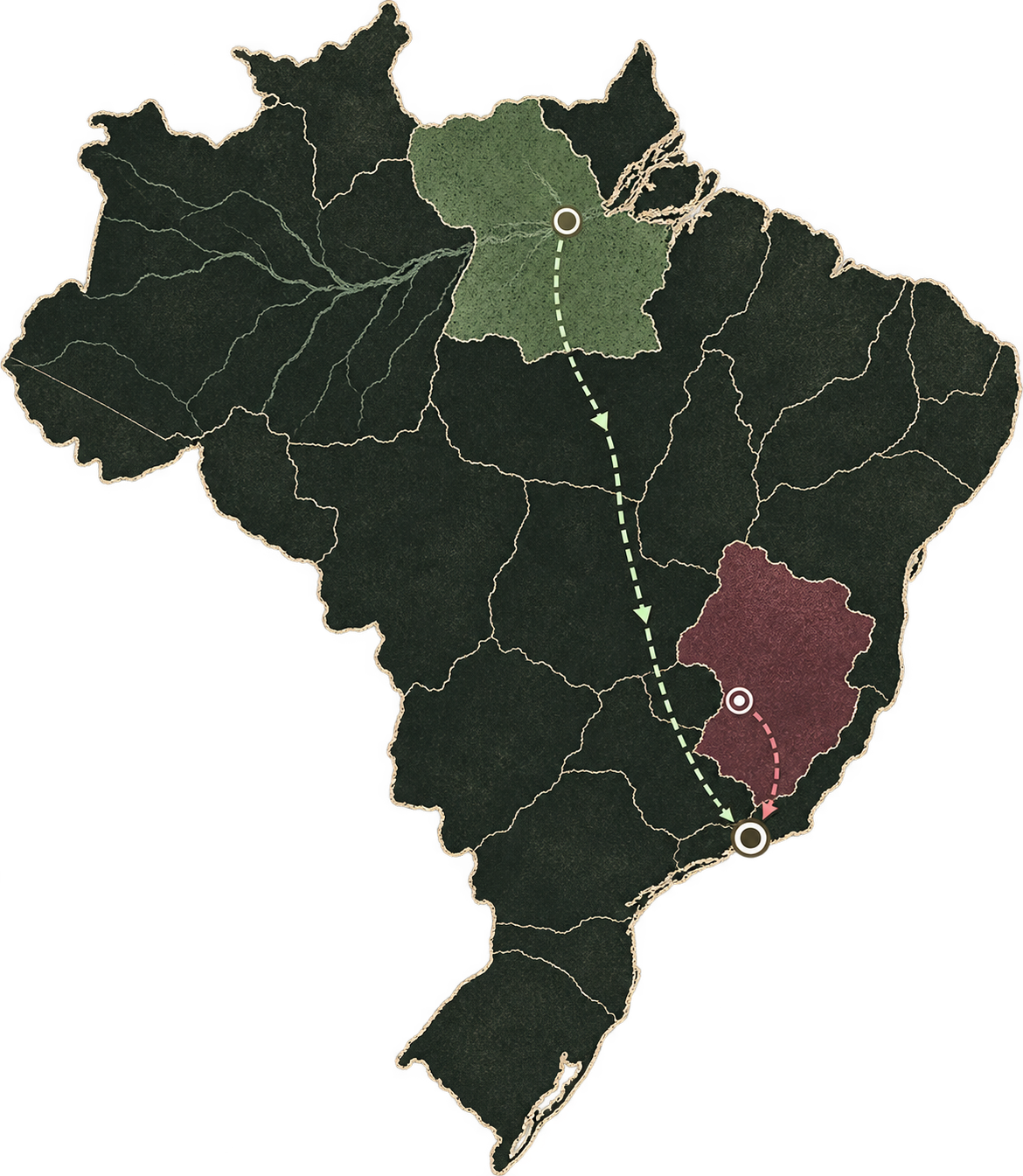 Illustrated map of Brazil showing açaí moving from Pará to Santos and coffee moving from Ibiraci, Minas Gerais through Varginha to Santos